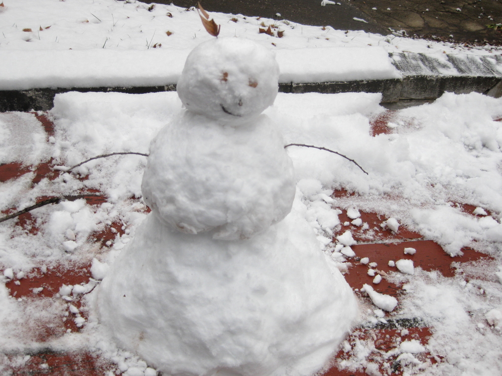 Snowman created by Davonne and Lily Parks